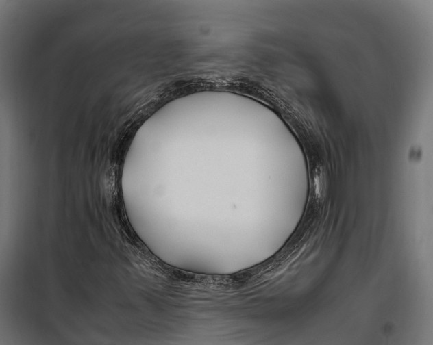 X0000099991347200806201439