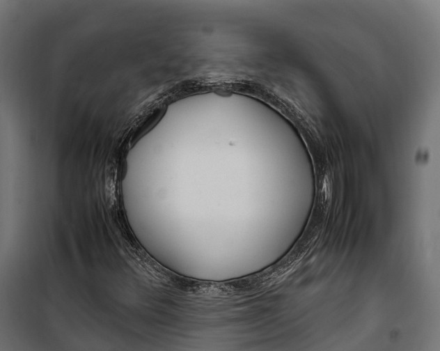 X0000099991348200806201439