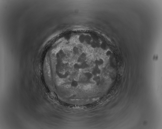 X0000099991351200806201439