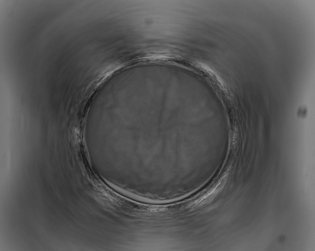 X0000099991353200806201439