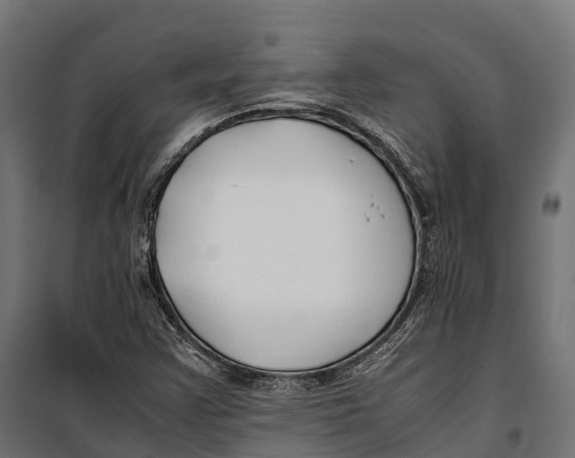 X0000099991355200806201439