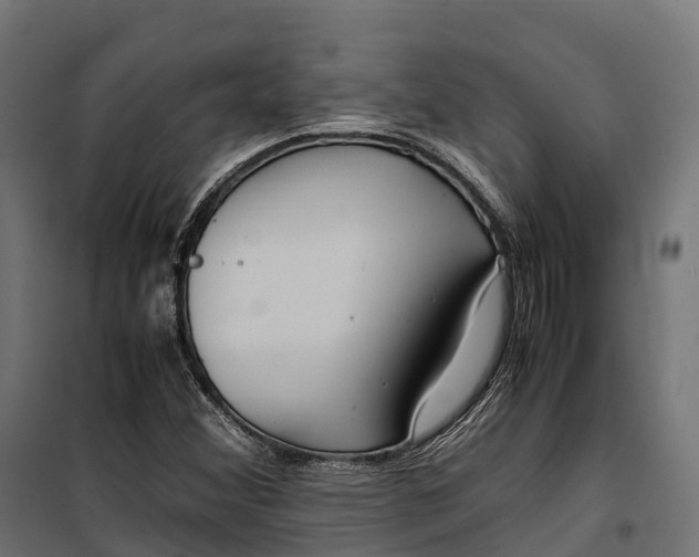 X0000099991356200806201439