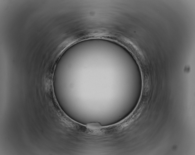 X0000099991361200806201439