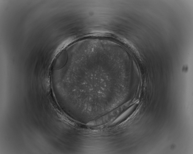 X0000099991362200806201439