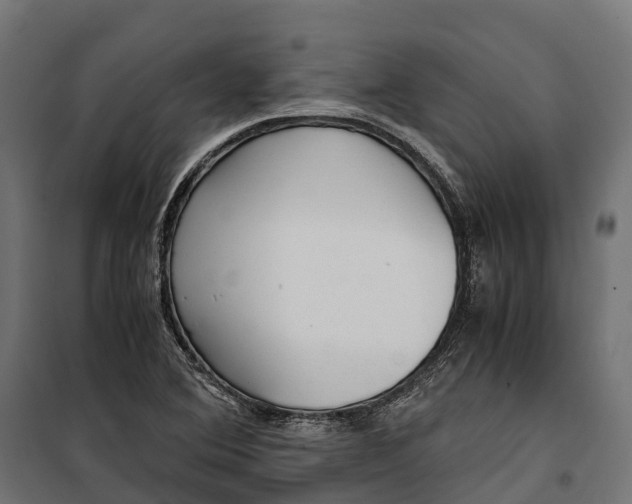 X0000099991364200806201439