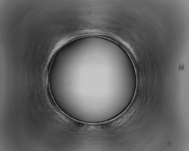 X0000099991365200806201439