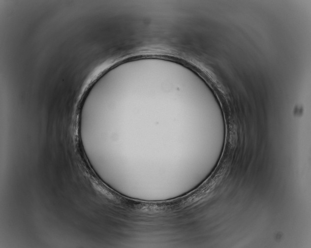 X0000099991366200806201439