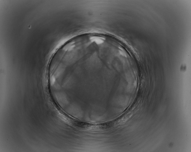 X0000099991367200806201439