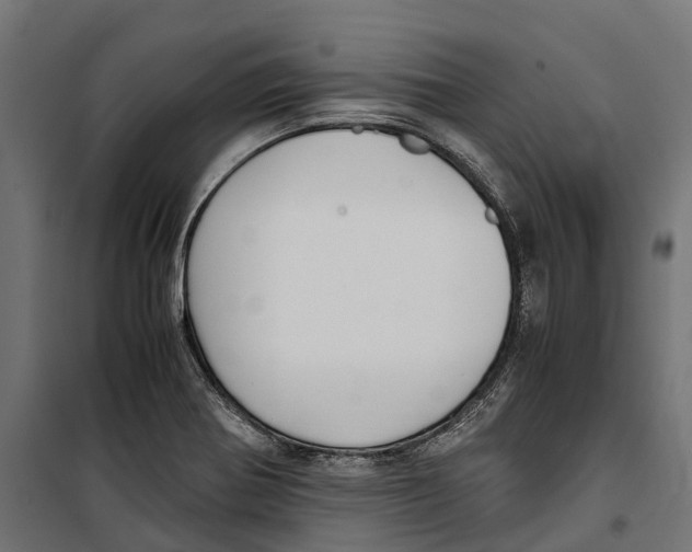 X0000099991370200806201439