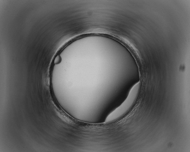 X0000099991372200806201439