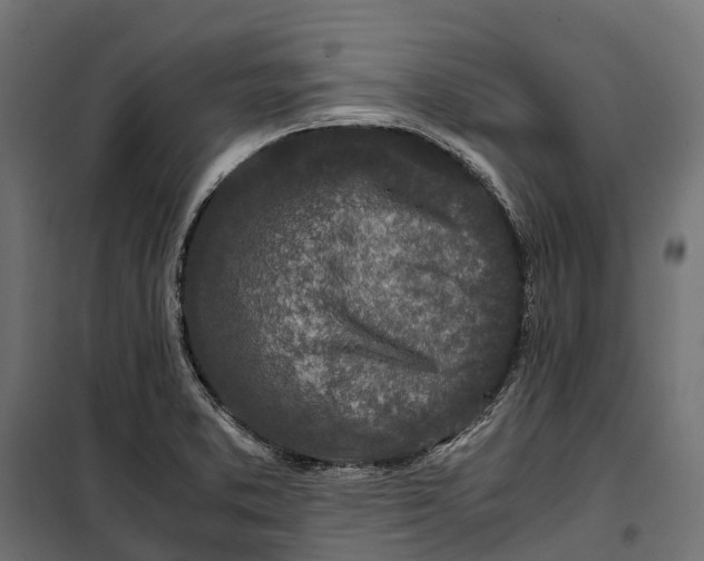 X0000099991373200806201439