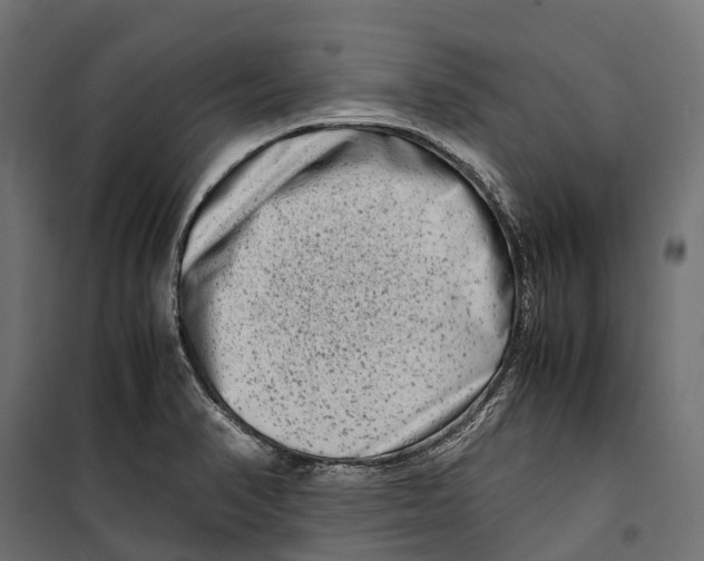 X0000099991374200806201439