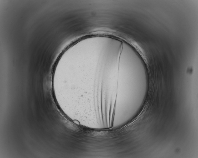 X0000099991376200806201439