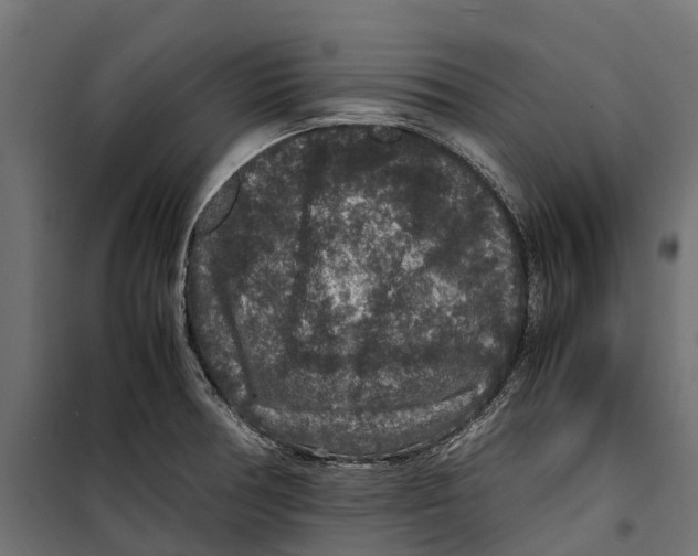 X0000099991378200806201439