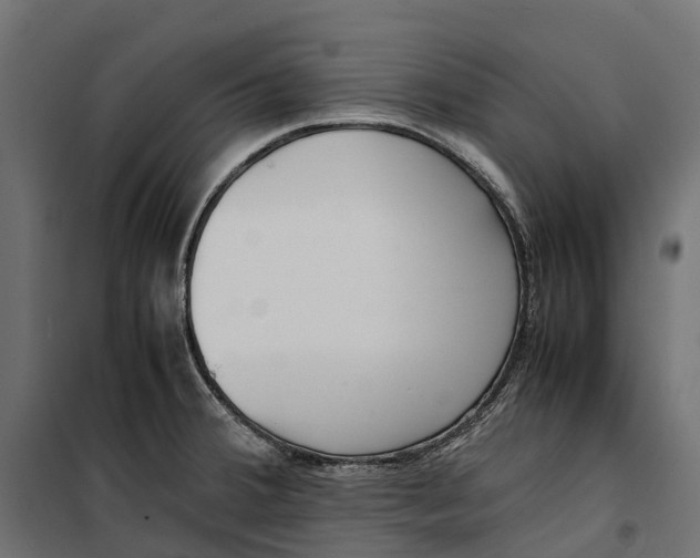 X0000099991380200806201439