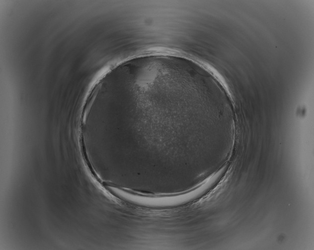 X0000099991381200806201439