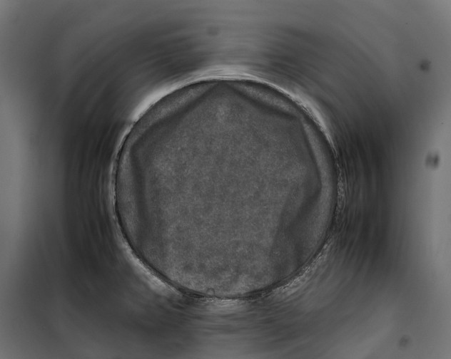 X0000099991382200806201439