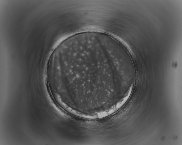 X0000099991383200806201439