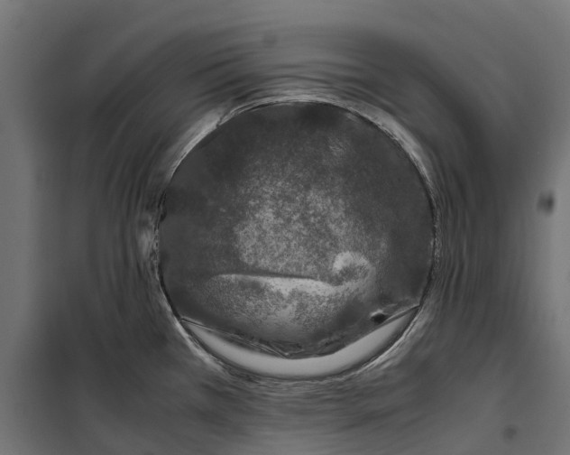 X0000099991385200806201439