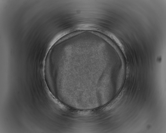 X0000099991386200806201439