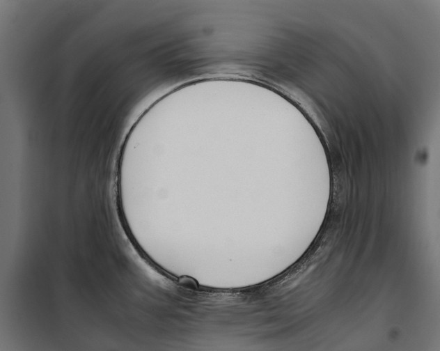 X0000099991387200806201439