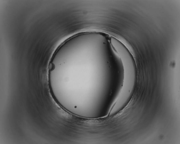 X0000099991388200806201439