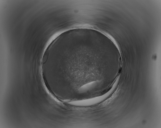 X0000099991389200806201439