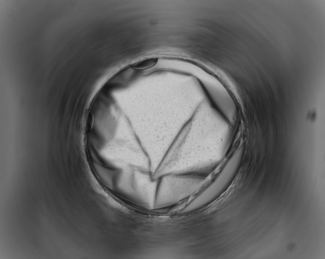 X0000099991390200806201439