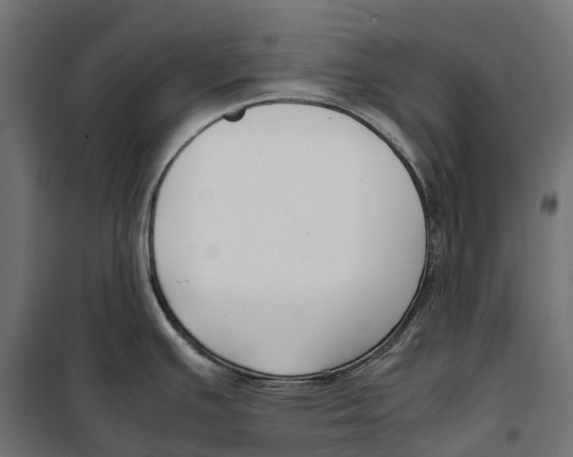 X0000099991391200806201439