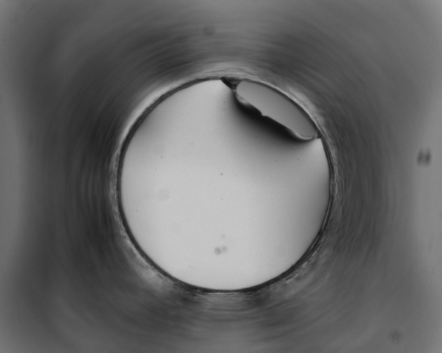 X0000099991392200806201439