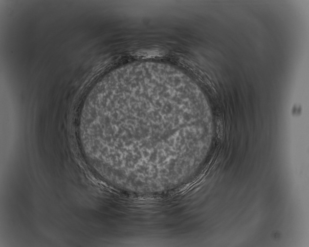 X0000099991393200806201438