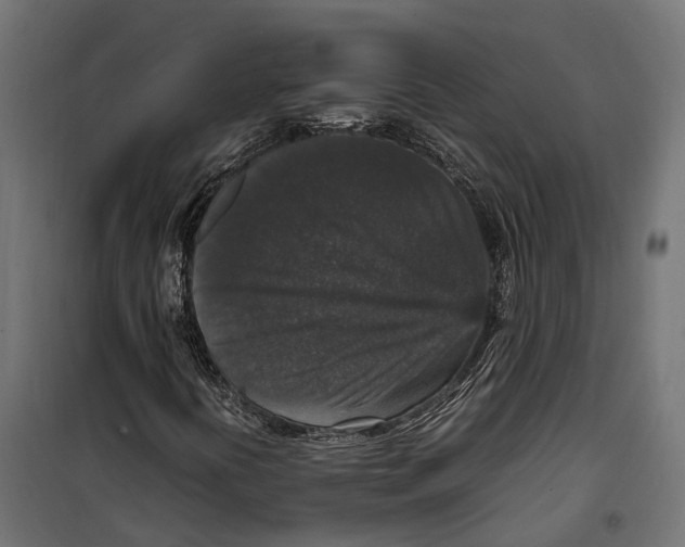 X0000099991394200806201438