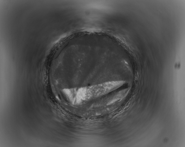 X0000099991398200806201438