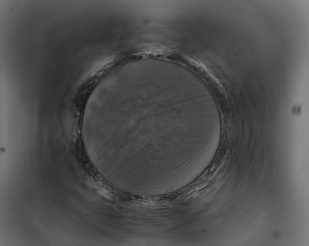 X0000099991399200806201438