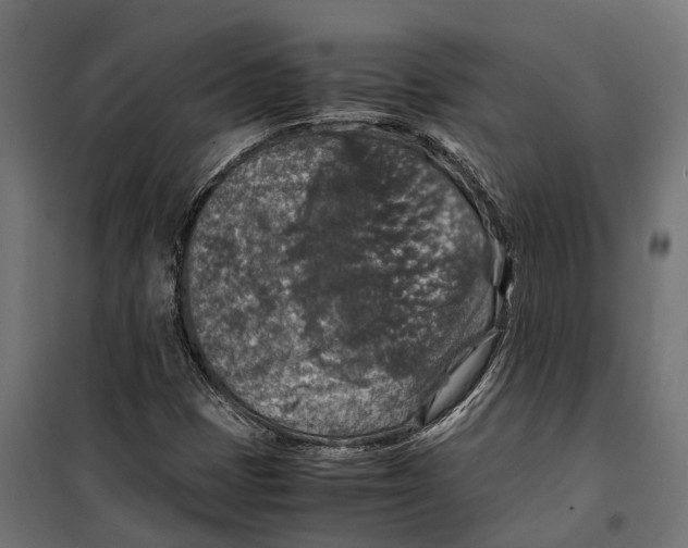 X0000099991401200806201438