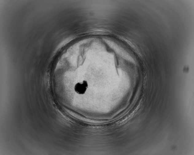 X0000099991402200806201438