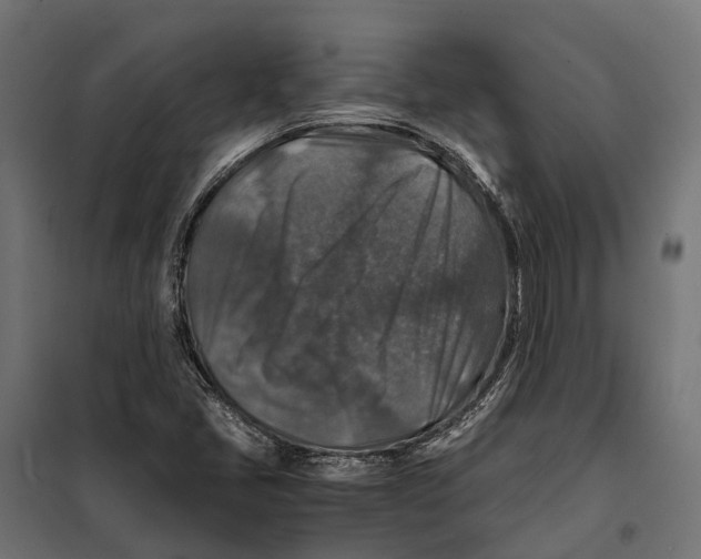 X0000099991405200806201438