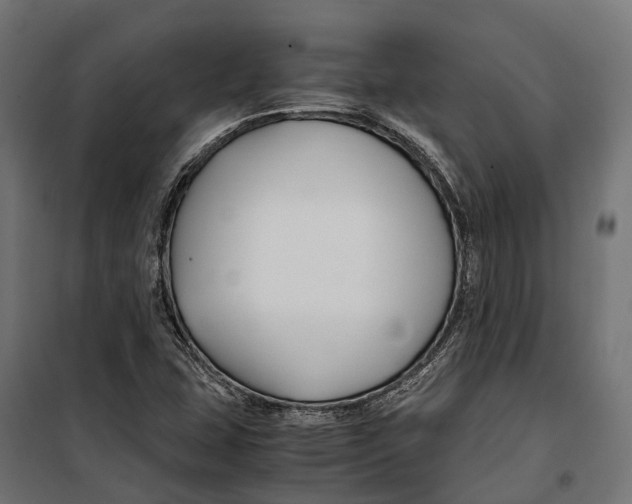 X0000099991407200806201438