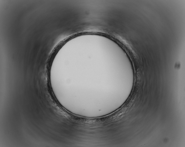 X0000099991408200806201438