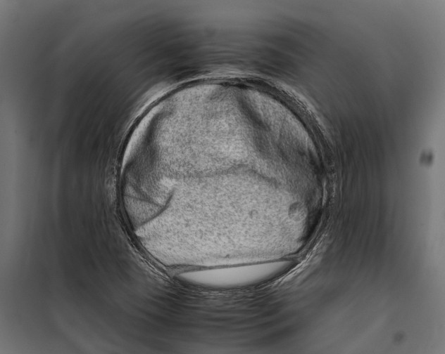 X0000099991409200806201438