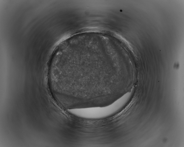 X0000099991411200806201438