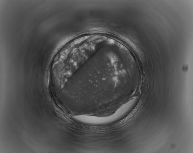 X0000099991413200806201438