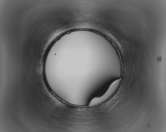 X0000099991416200806201438