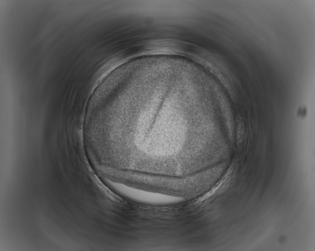 X0000099991417200806201438