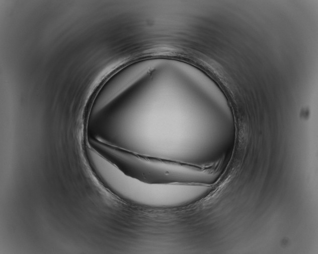 X0000099991418200806201438