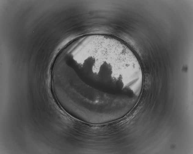 X0000099991419200806201438