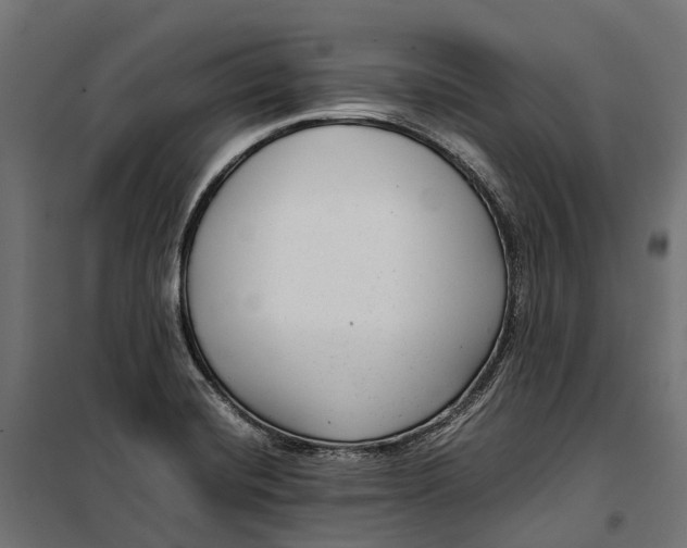 X0000099991420200806201438