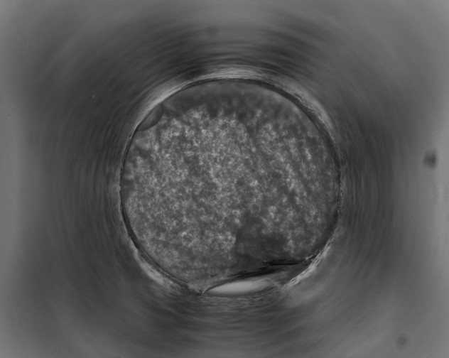 X0000099991425200806201438