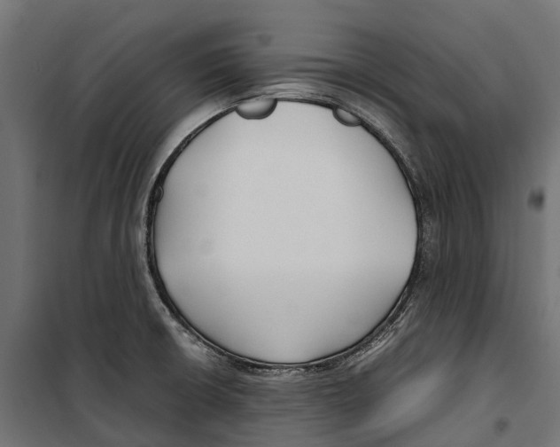 X0000099991426200806201438