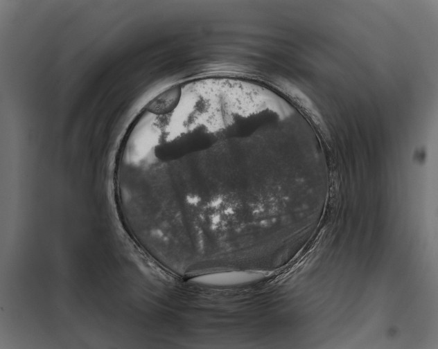 X0000099991427200806201438